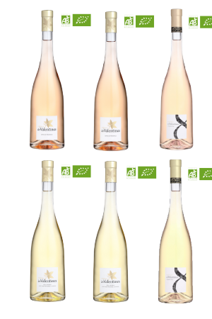 Mixed case of white & rosé wines