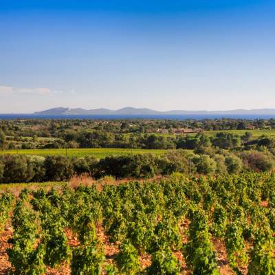 DU CÔTES DE PROVENCE AU CÔTES DE PROVENCE LA LONDE ET CRU LA LONDE