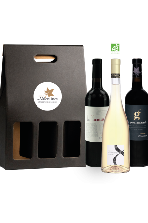 Coffret 3 bouteilles slection rouges et blanc