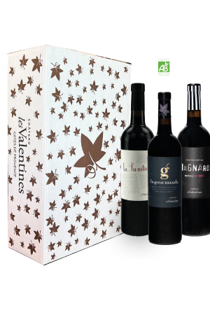 Coffret 3 bouteilles Rouges d'Exception 