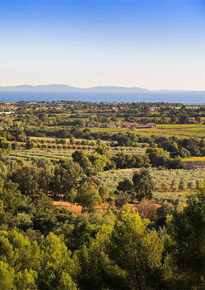 visite domaine les valentines